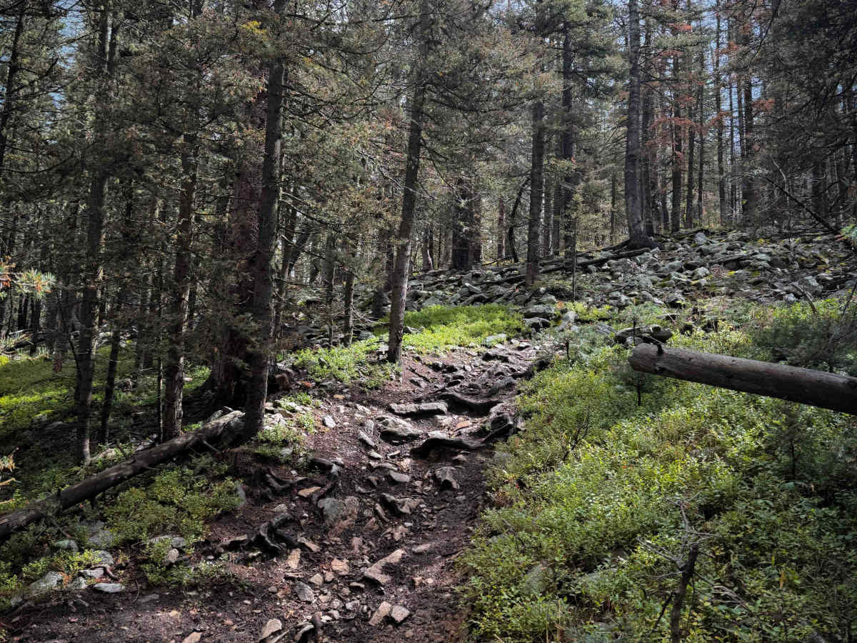 Trail 22A  photo 4