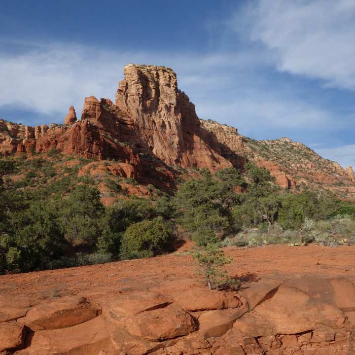 Near Llama Trail