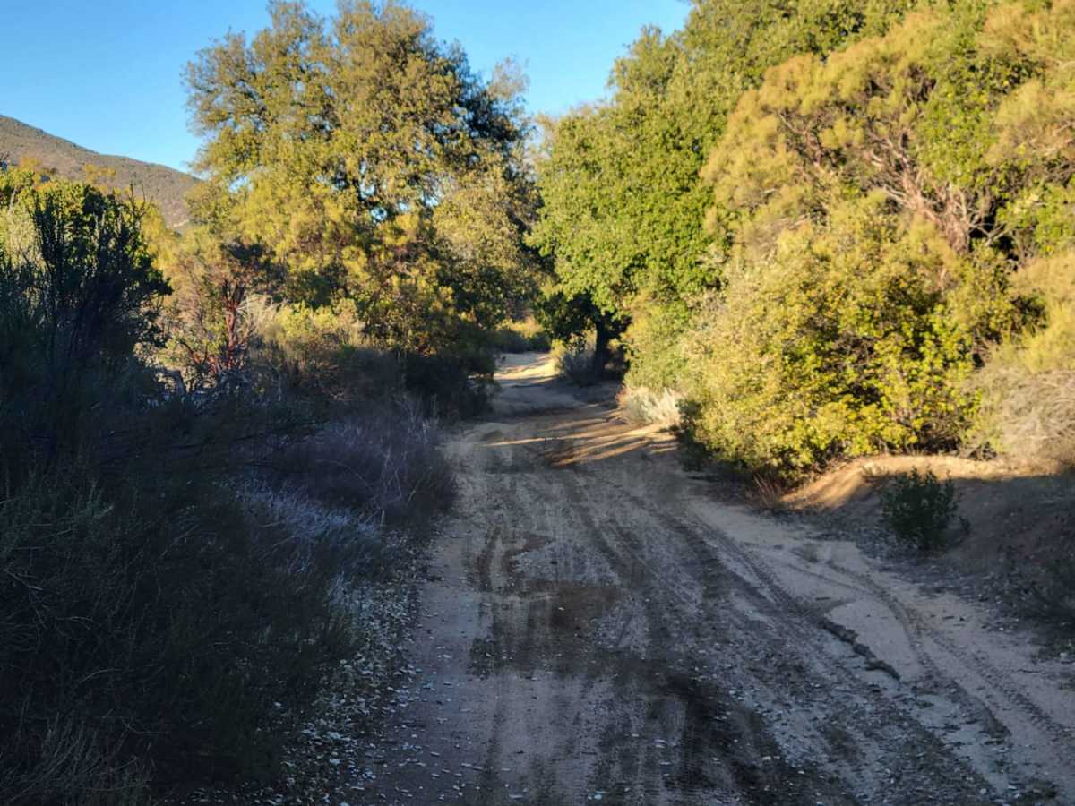 Long Valley Loop Road photo 6
