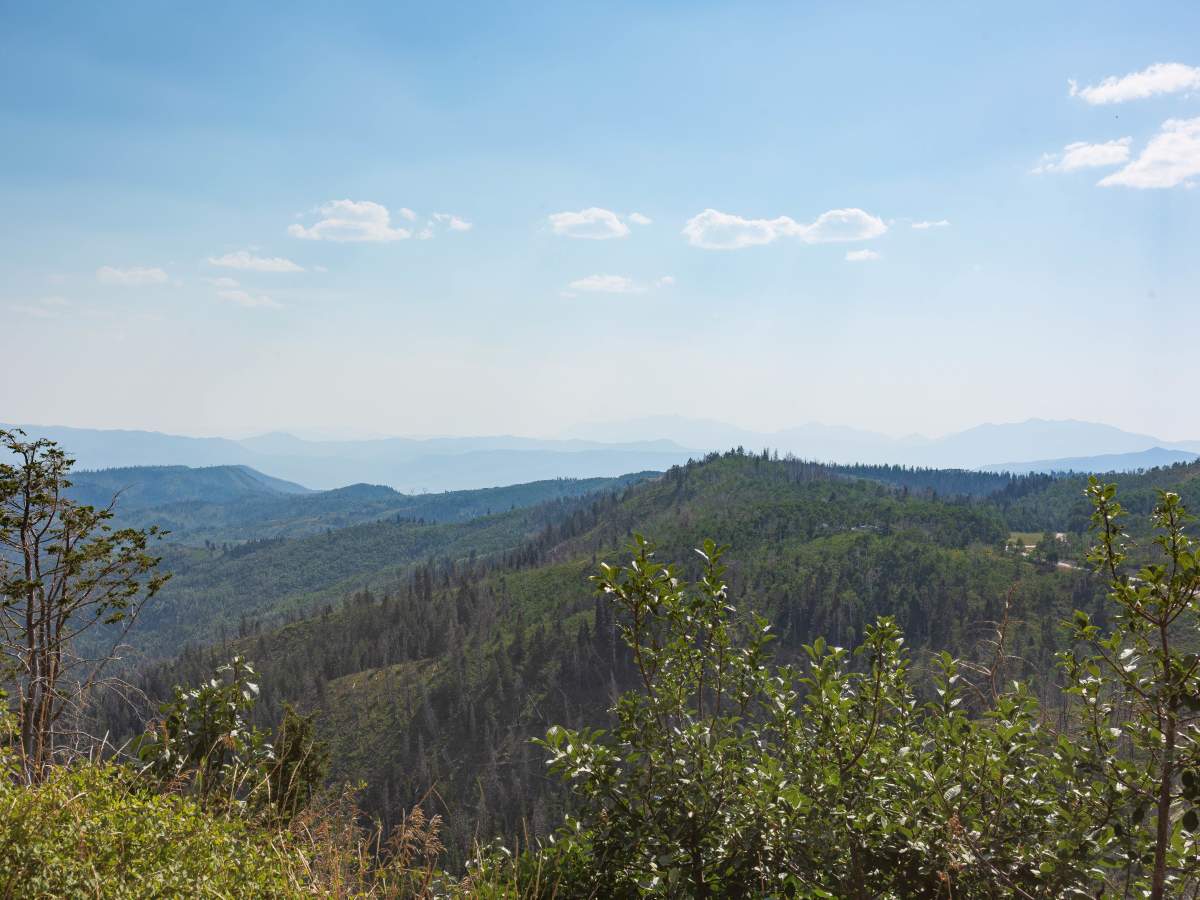Bald Mountain - FS 70043 photo 3