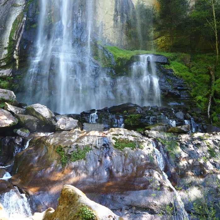 Near Lower Silver Falls Trail