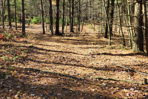 OHV 2 - Rock Run Recreation Area