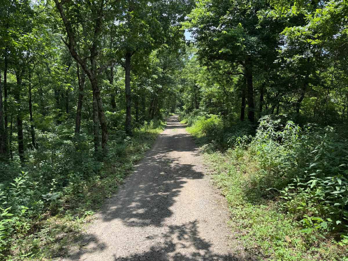 County Road 6291 photo 5
