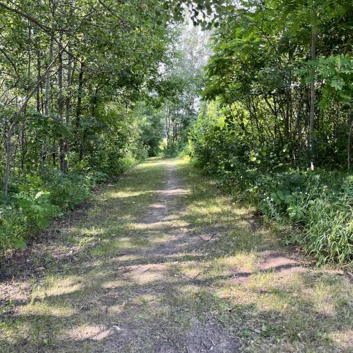 Near Bald Eagle Prairie Preserve