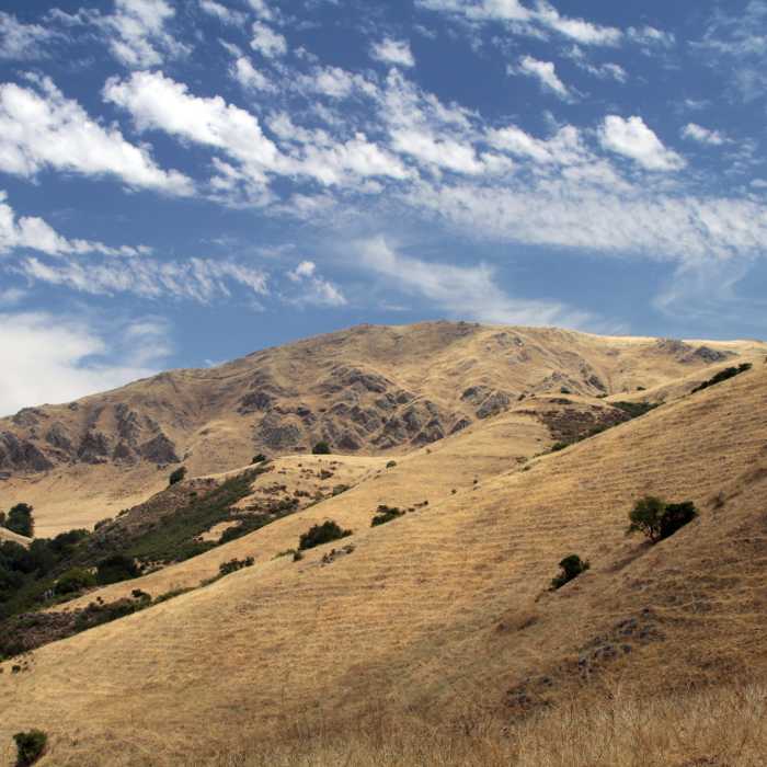 Near Horse Haven Trail