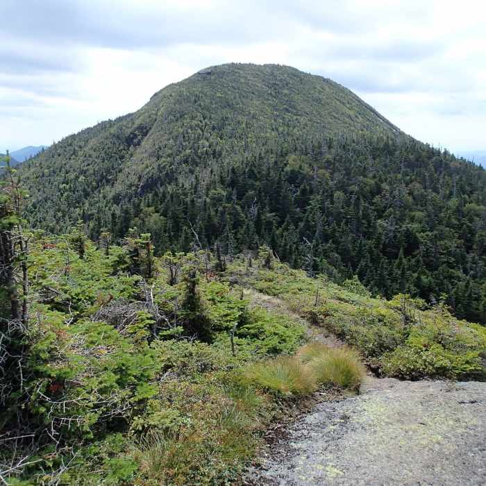 Mount Colden Near Mount Colden via Lake Arnold