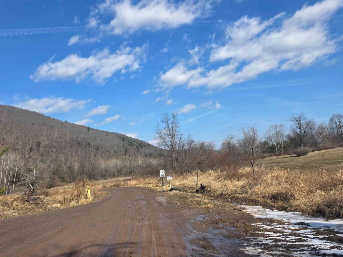 10 Speed trail photo