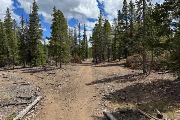 Georgia Gulch Road