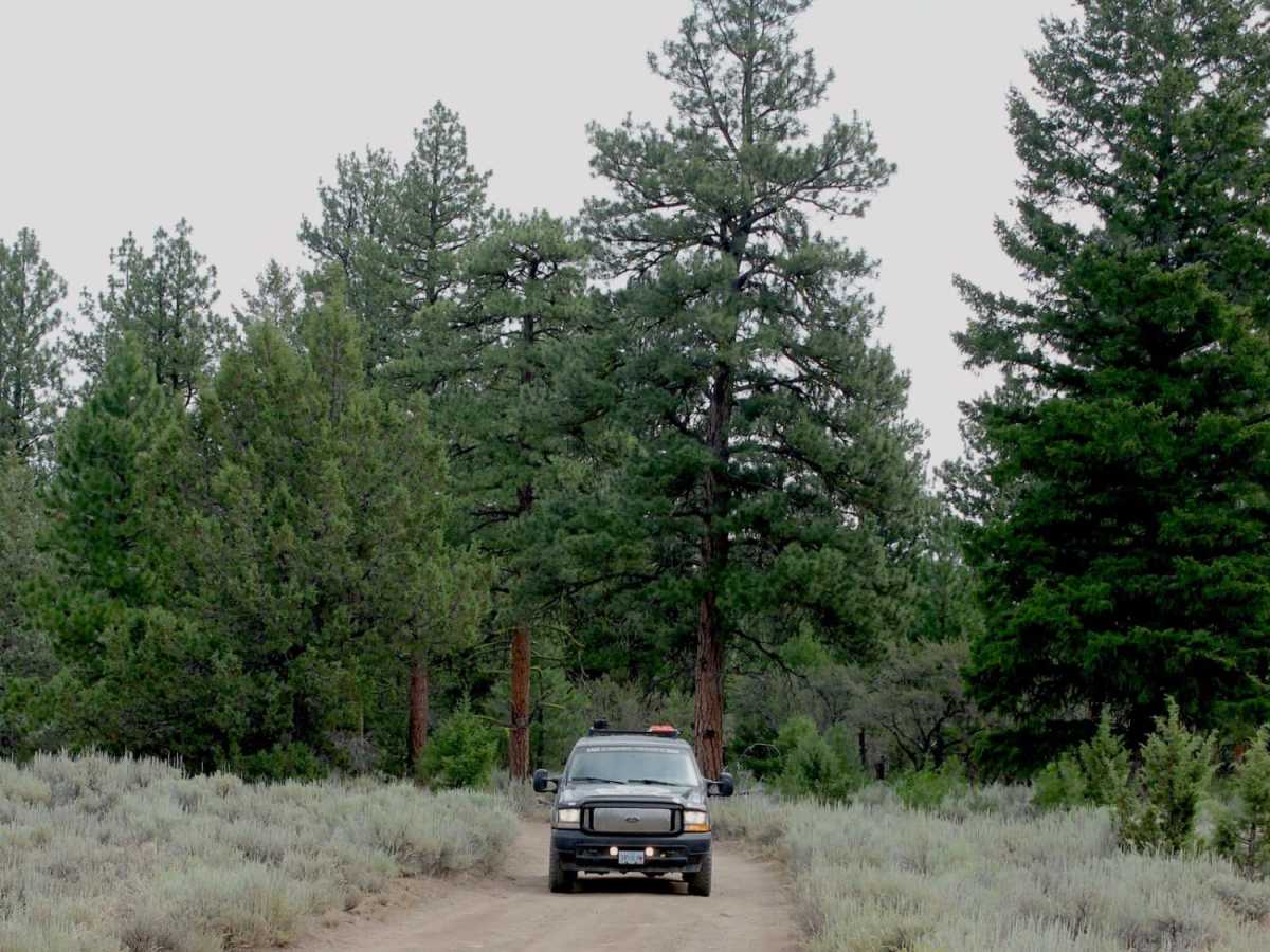 Lost Creek trail photo