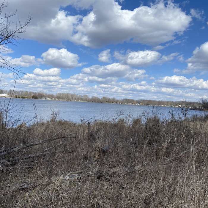 Near Learning Center Shea Wetland Loop Near Learning Center Shea Wetland Loop