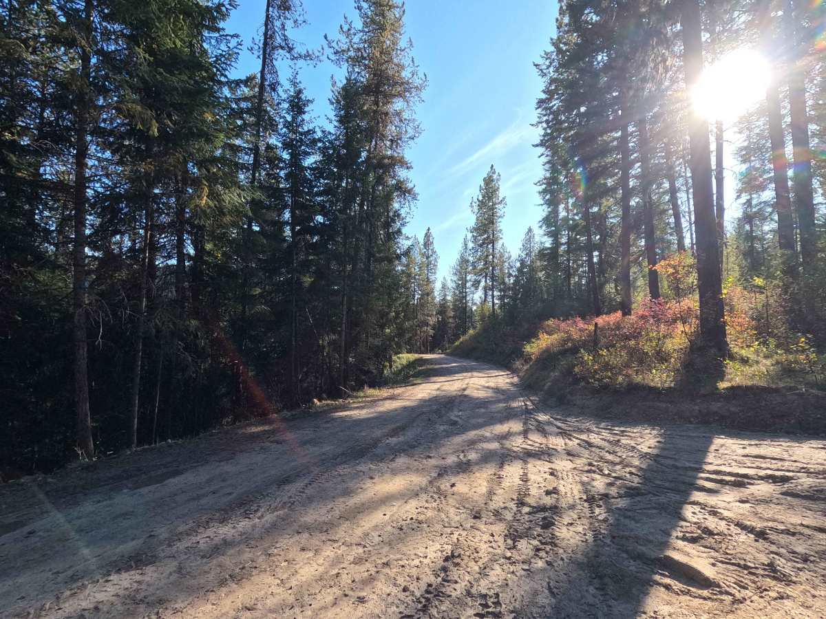 FS 9517302 trail photo
