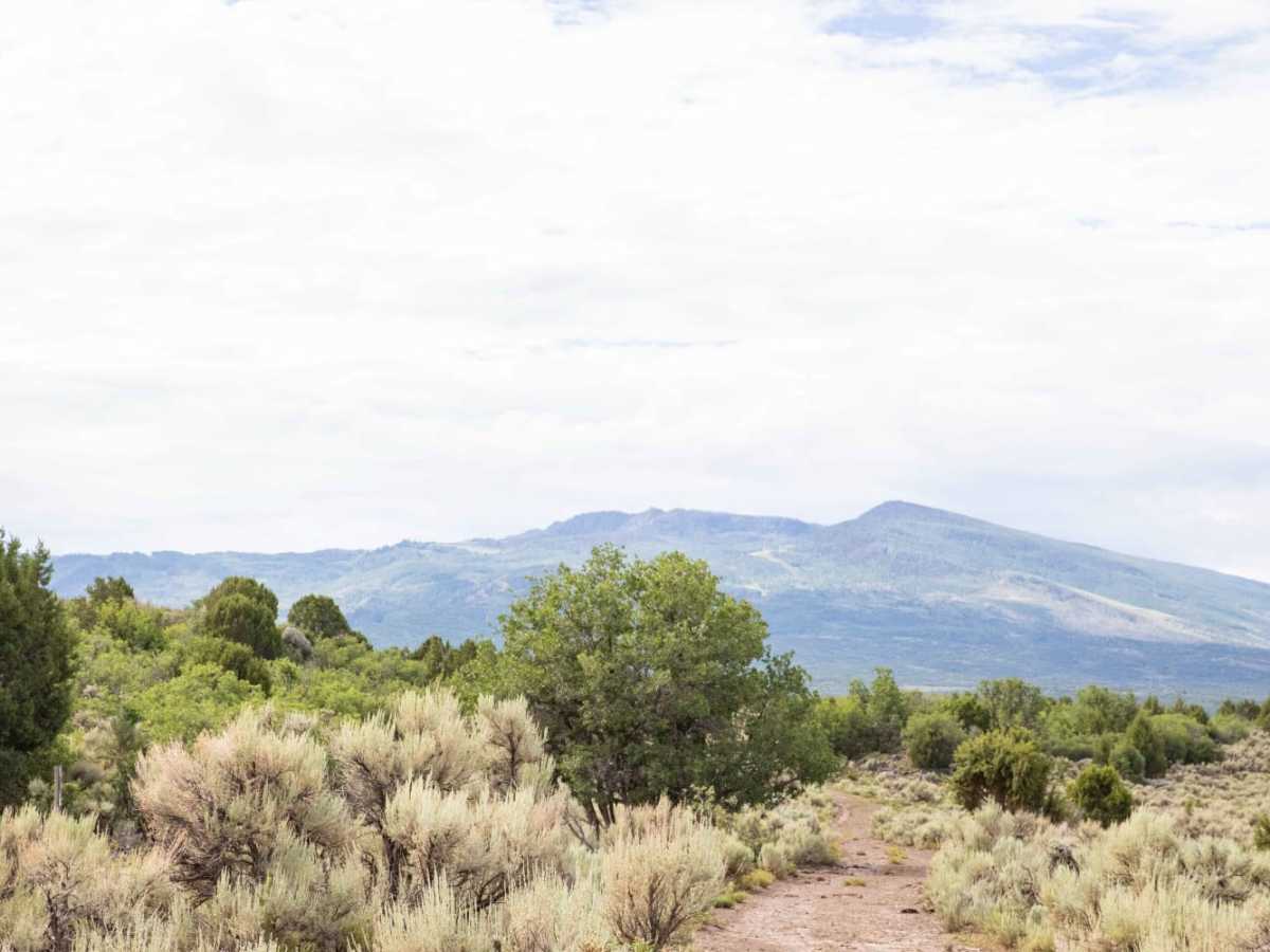 Pinenut Flat Trail photo 6