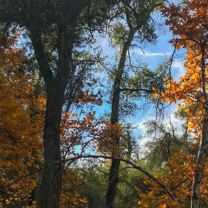 Near Bear Canyon to Sitton Peak Near Bear Canyon to Sitton Peak