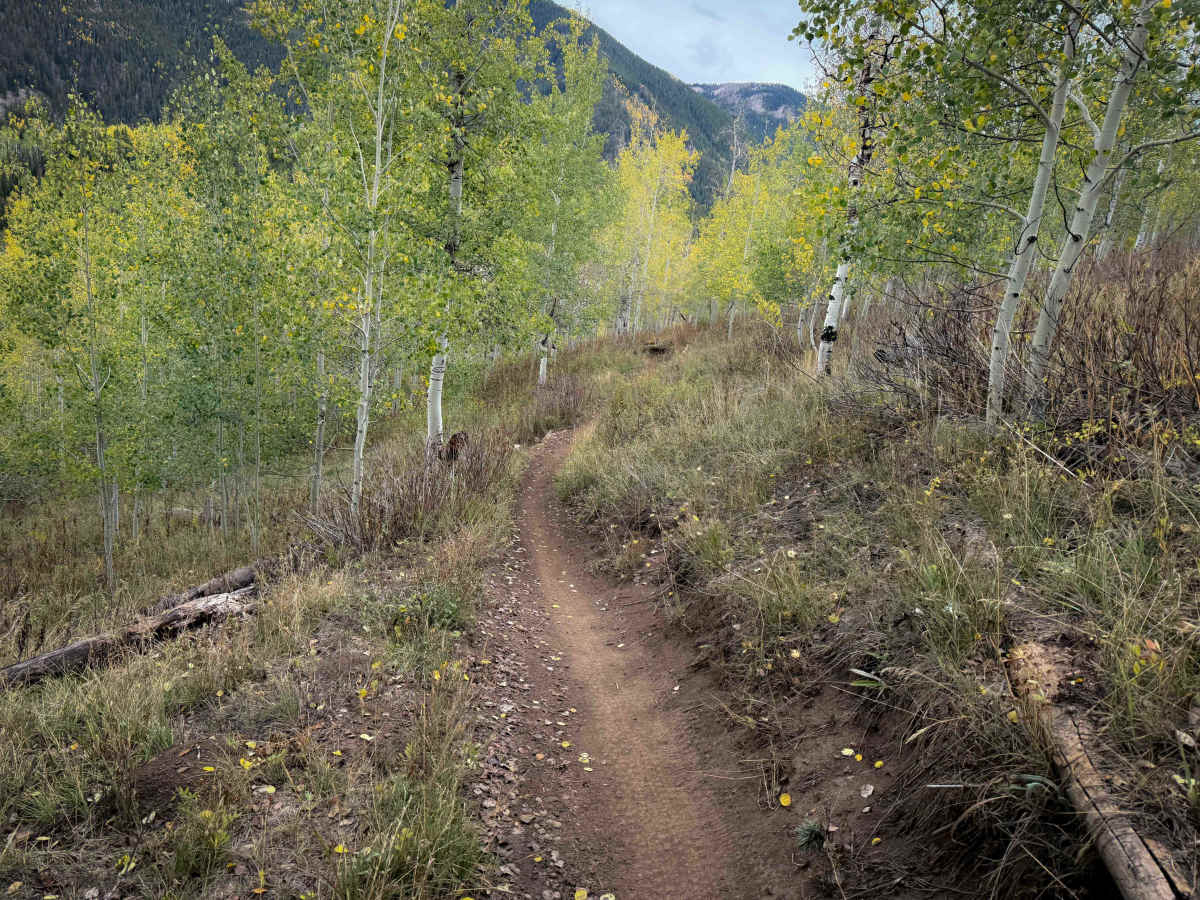 Warm Springs Trail 406  photo 5