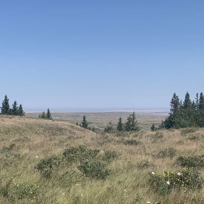 Near Trans Canada to Spruce Coulee Trail