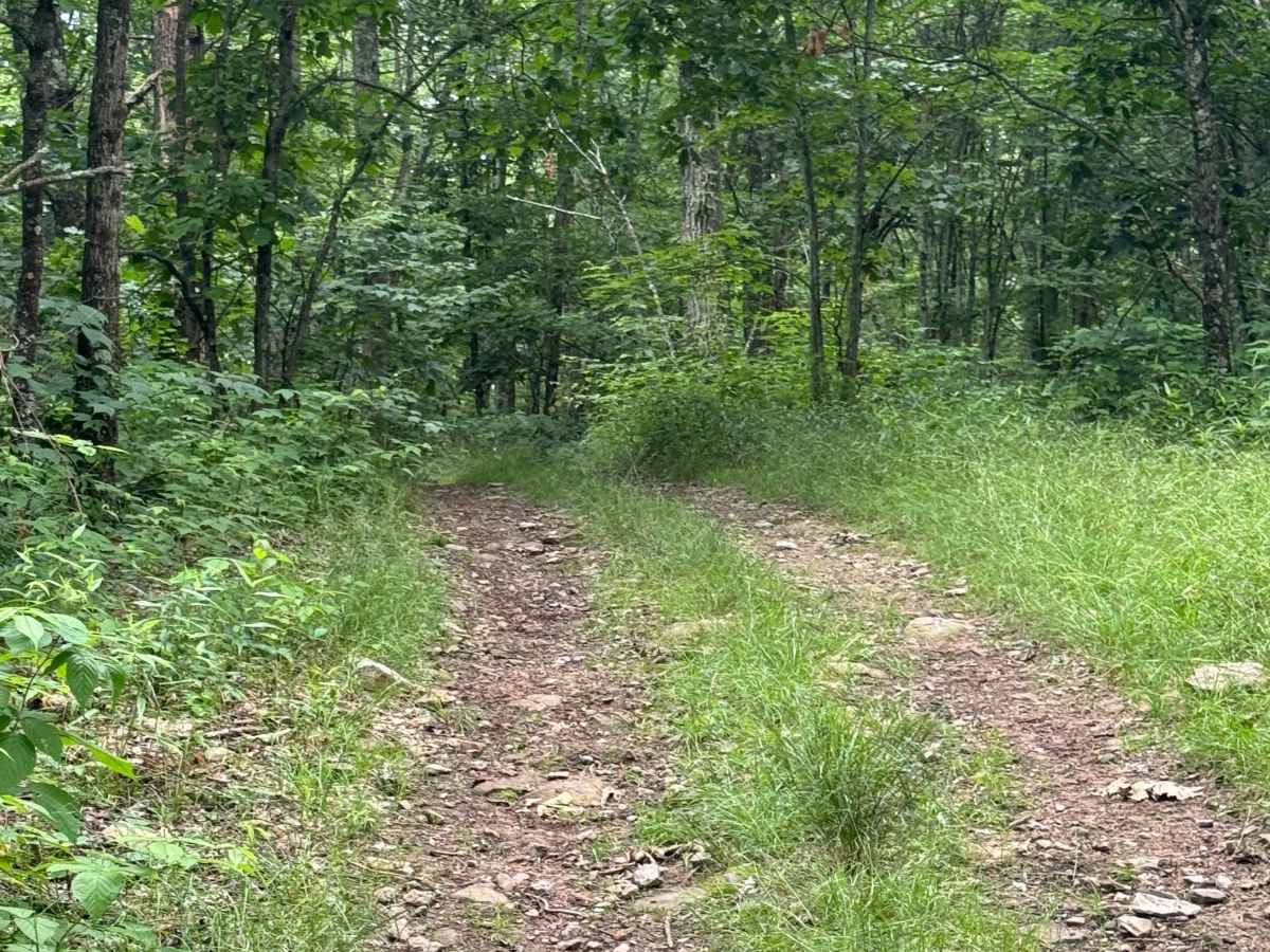 Trail 76 photo 4
