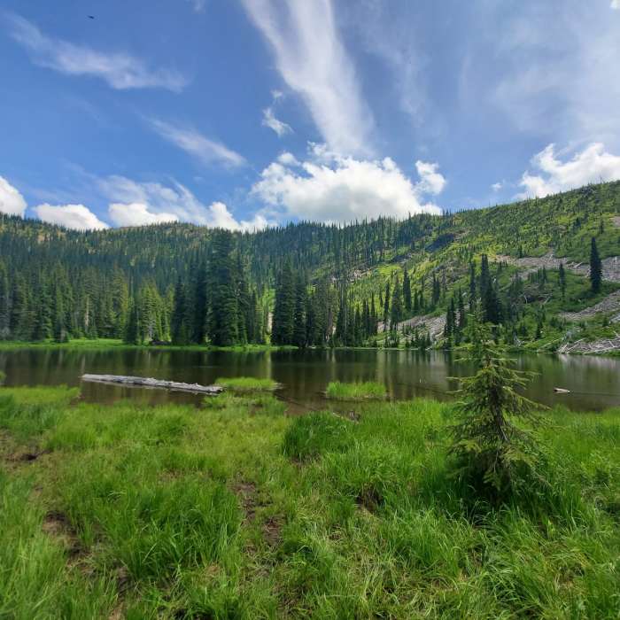 Near Moose Mountain Loop