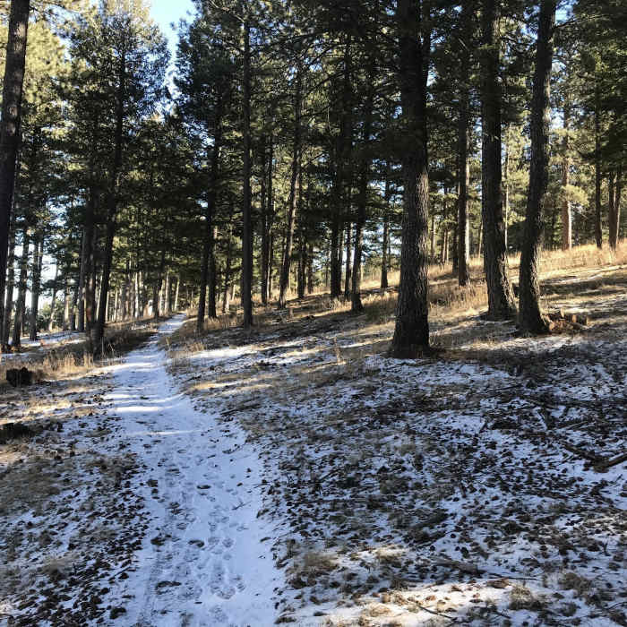 Near Genesee Mountain Trail