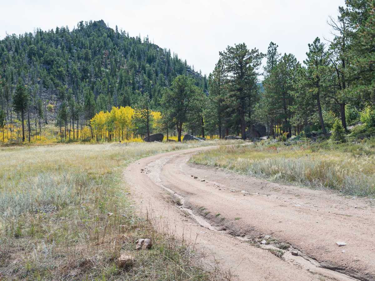 Forest Service Road 181A trail photo