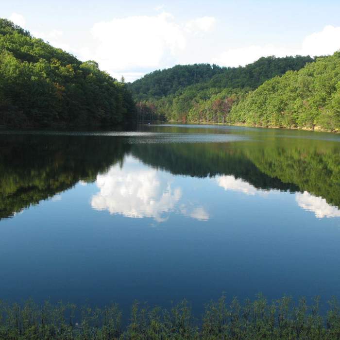 Tranquility Near Sheltowee Trace NRT: Sections 4 - 7