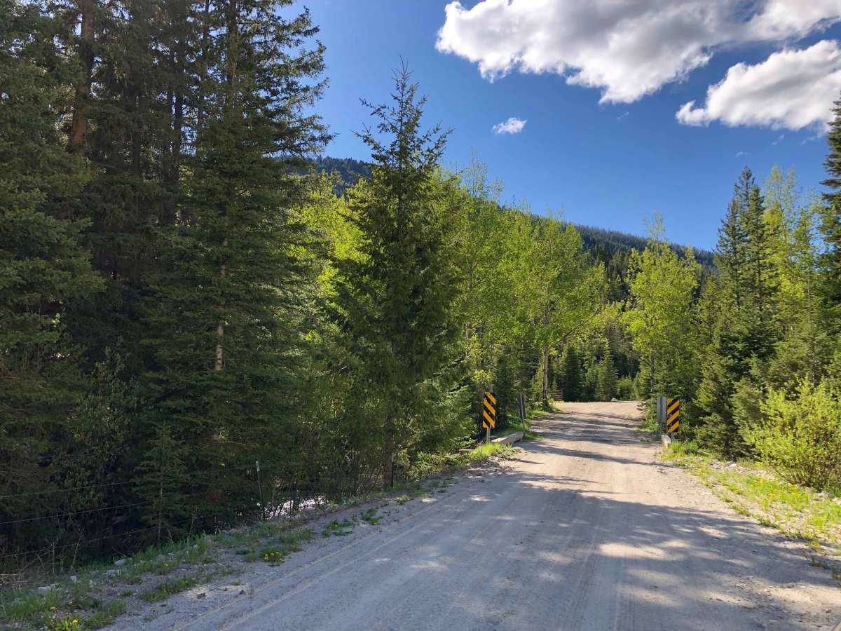 Warm Springs Creek Road 170 photo 4