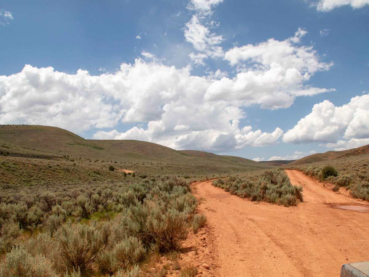 Cutoff Ridge Road (BLM AR13) trail photo