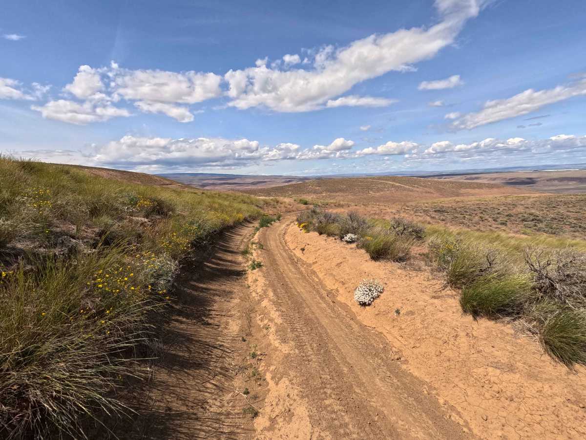 Jacknife Ridge Road photo 6