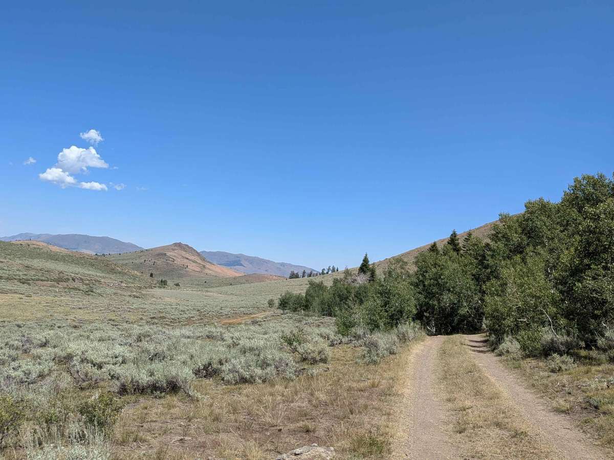 Two Road Road - FS 31358D photo 3
