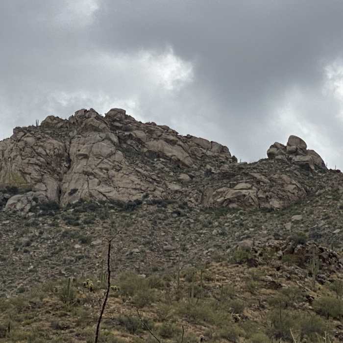 Near Cochie Springs Trail