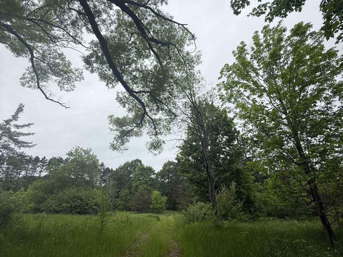 Kalverse Trail North photo 3
