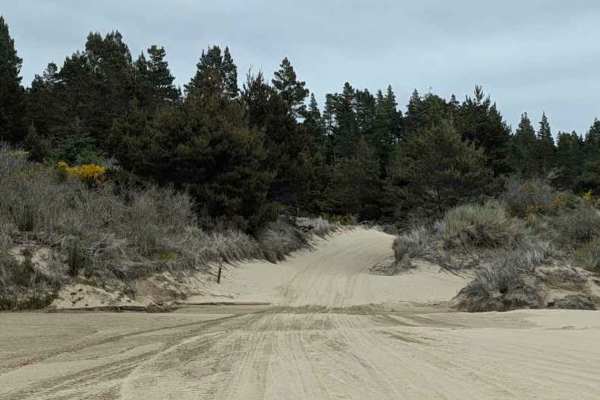 Upper Clearwox Trail - FS 344B