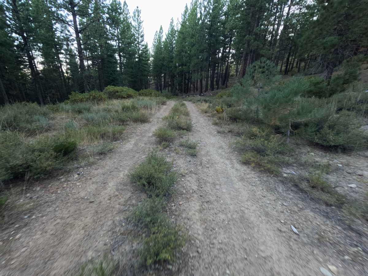 Wheeler Tie Spur - FS 0450-005-15B photo 4