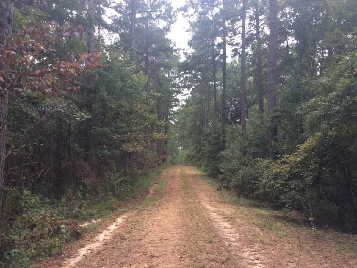 HCNF Woodlawn Trail photo 3