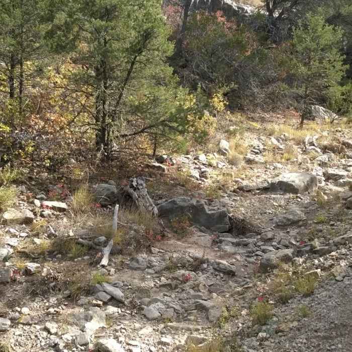 Near Otero Canyon Trail
