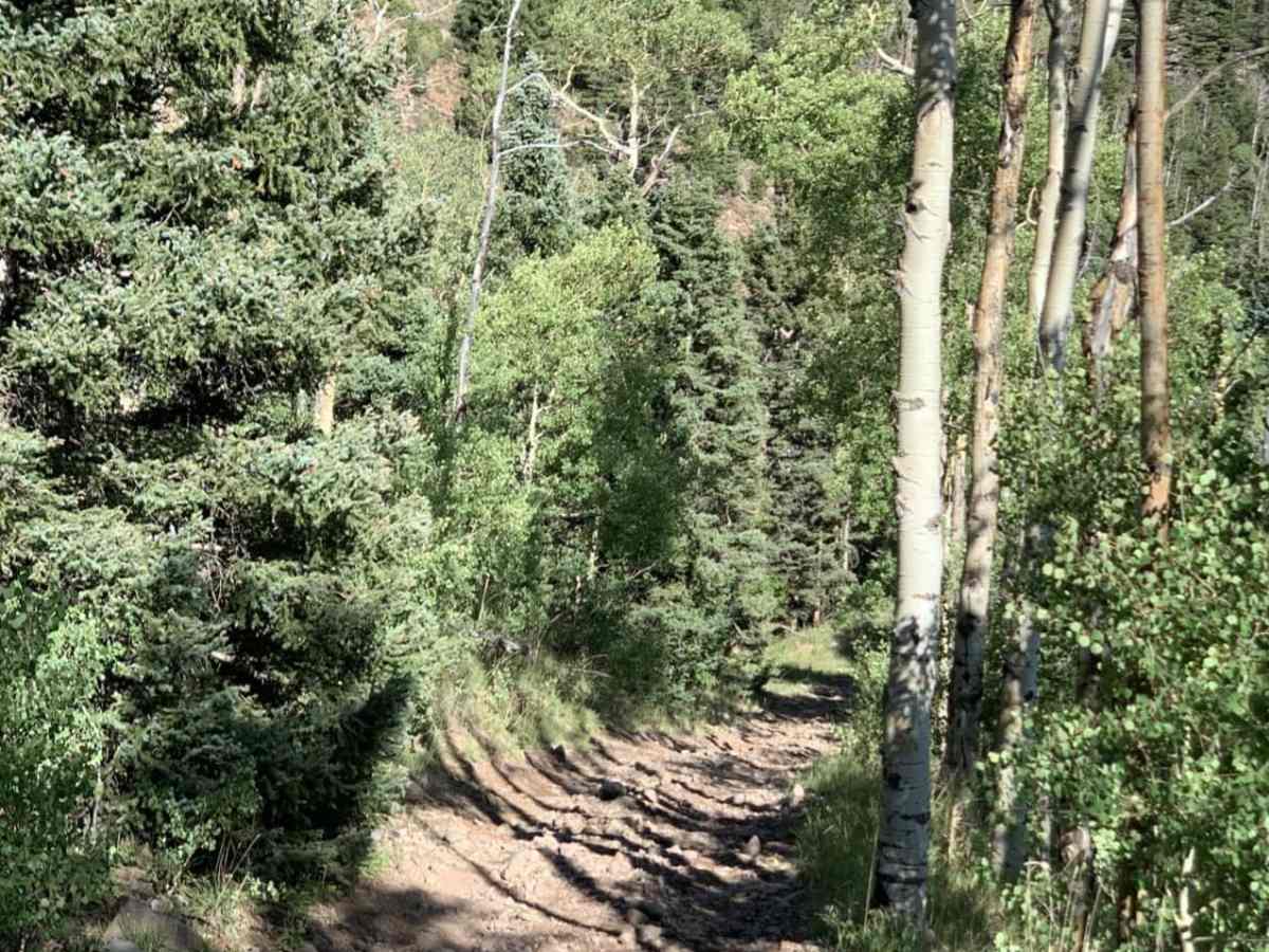 Fan Dike trail photo