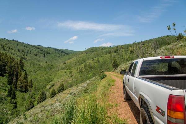 Twin Creeks Road to Bubble Spring