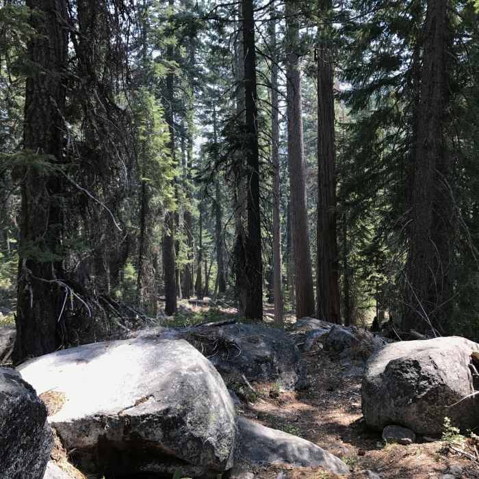 Near Sugar Lake Trail