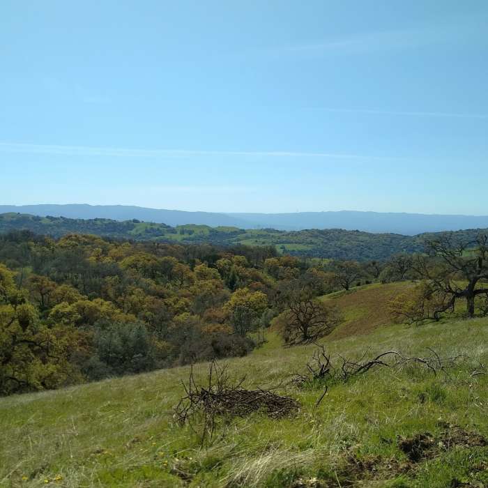 Near Manzanita Trail