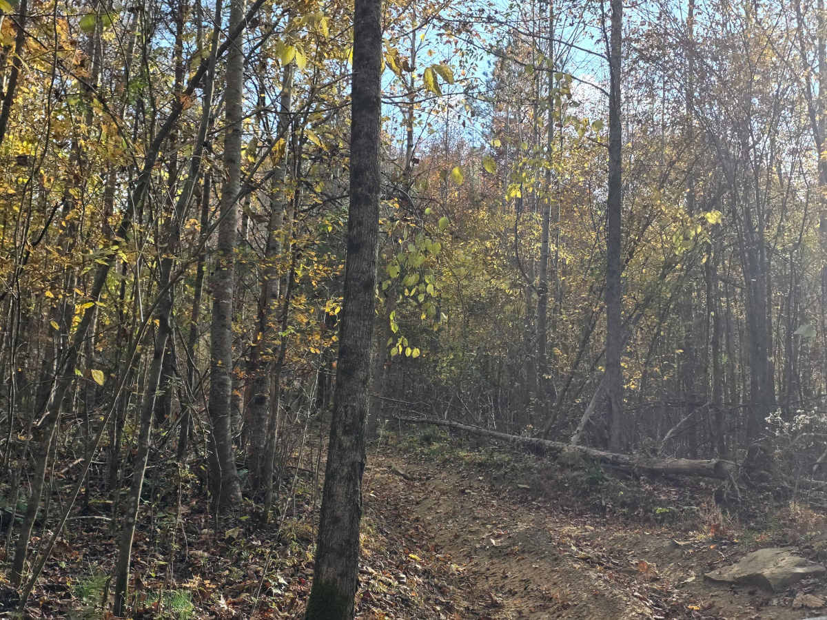 Cave Hollow Road photo 4