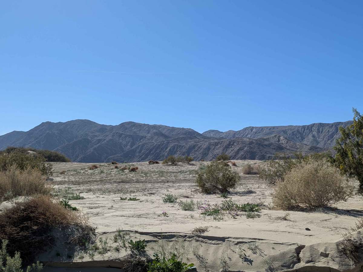BLM 083 photo 4