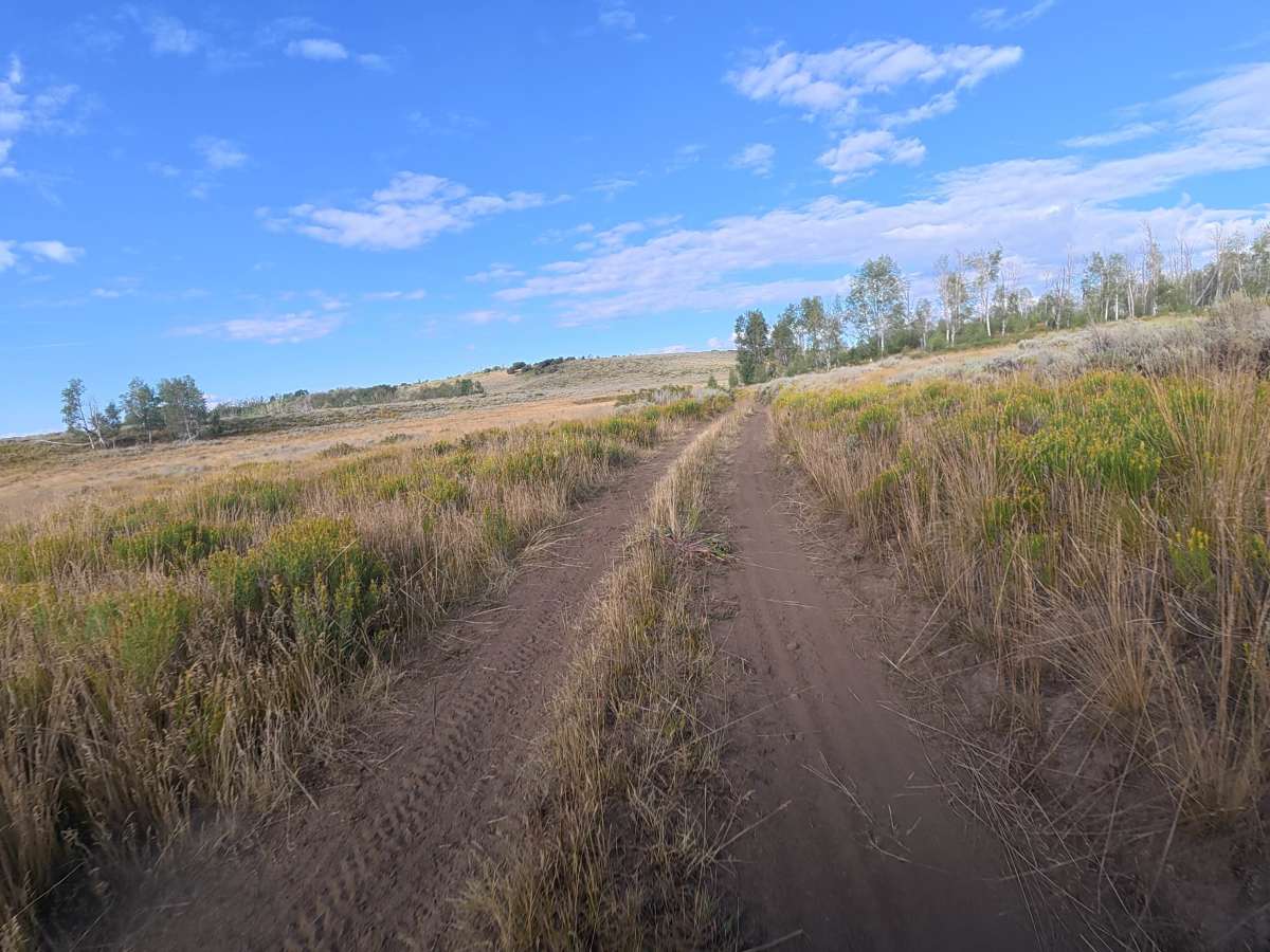 Lake Park Road - FS 860 trail photo