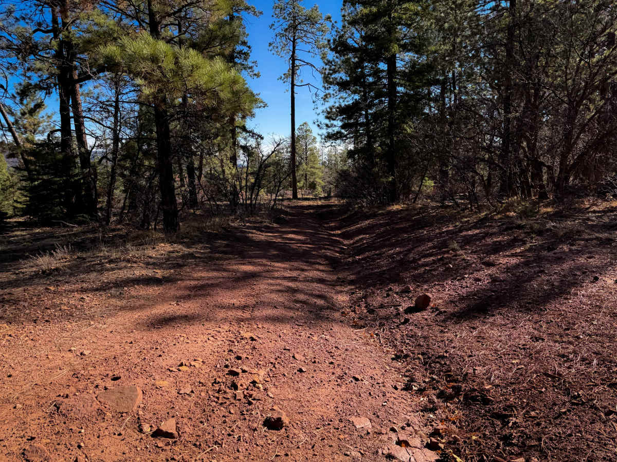 Eureka Center  trail photo