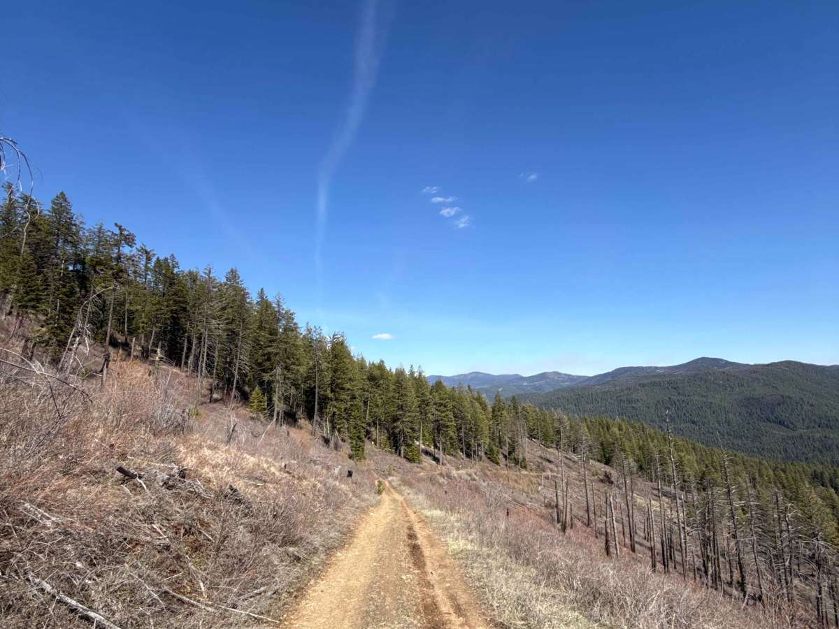 Eagle Mountain - FS 4300080 trail photo