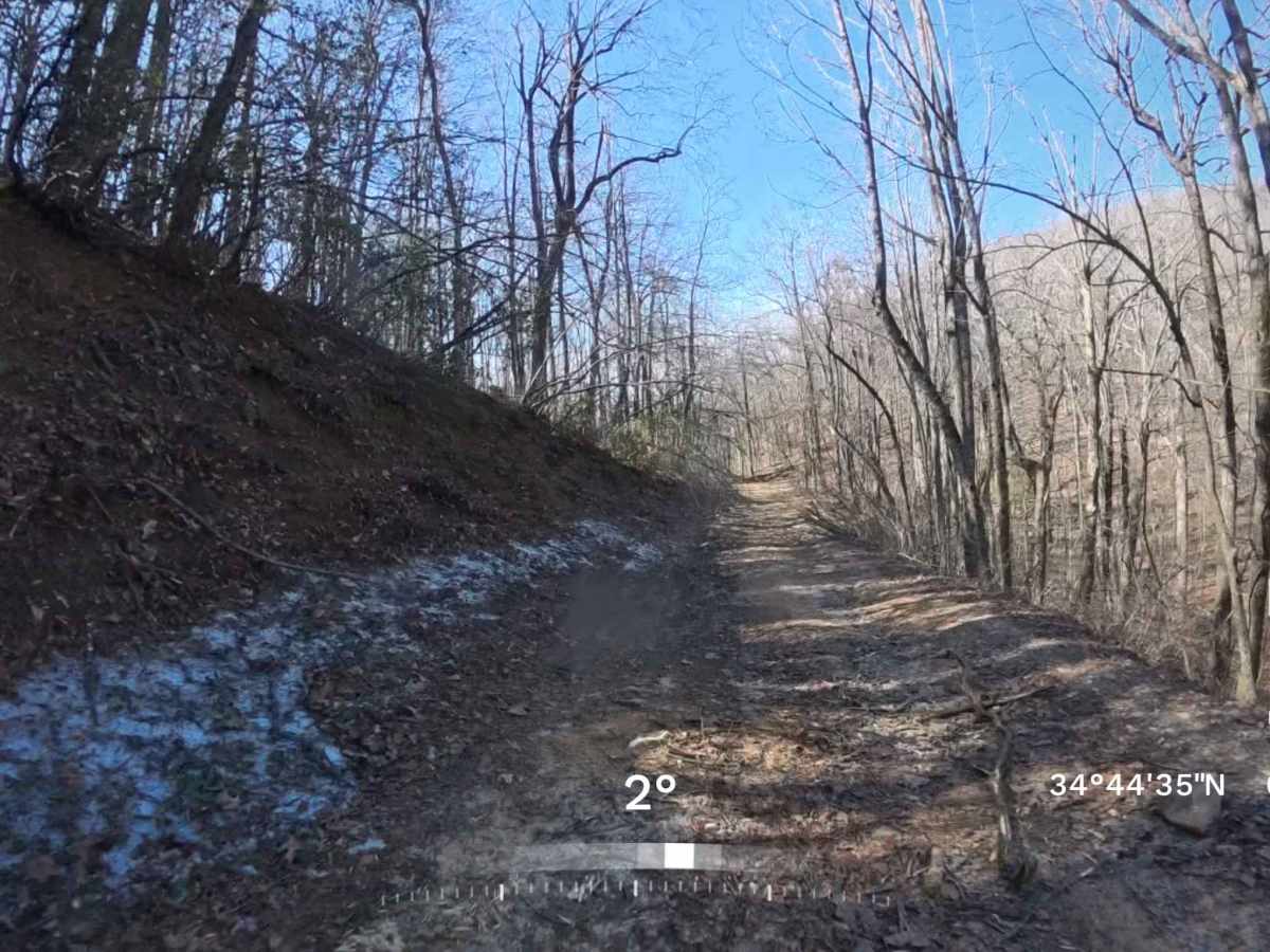 Ann Gap - FS 410 photo 6