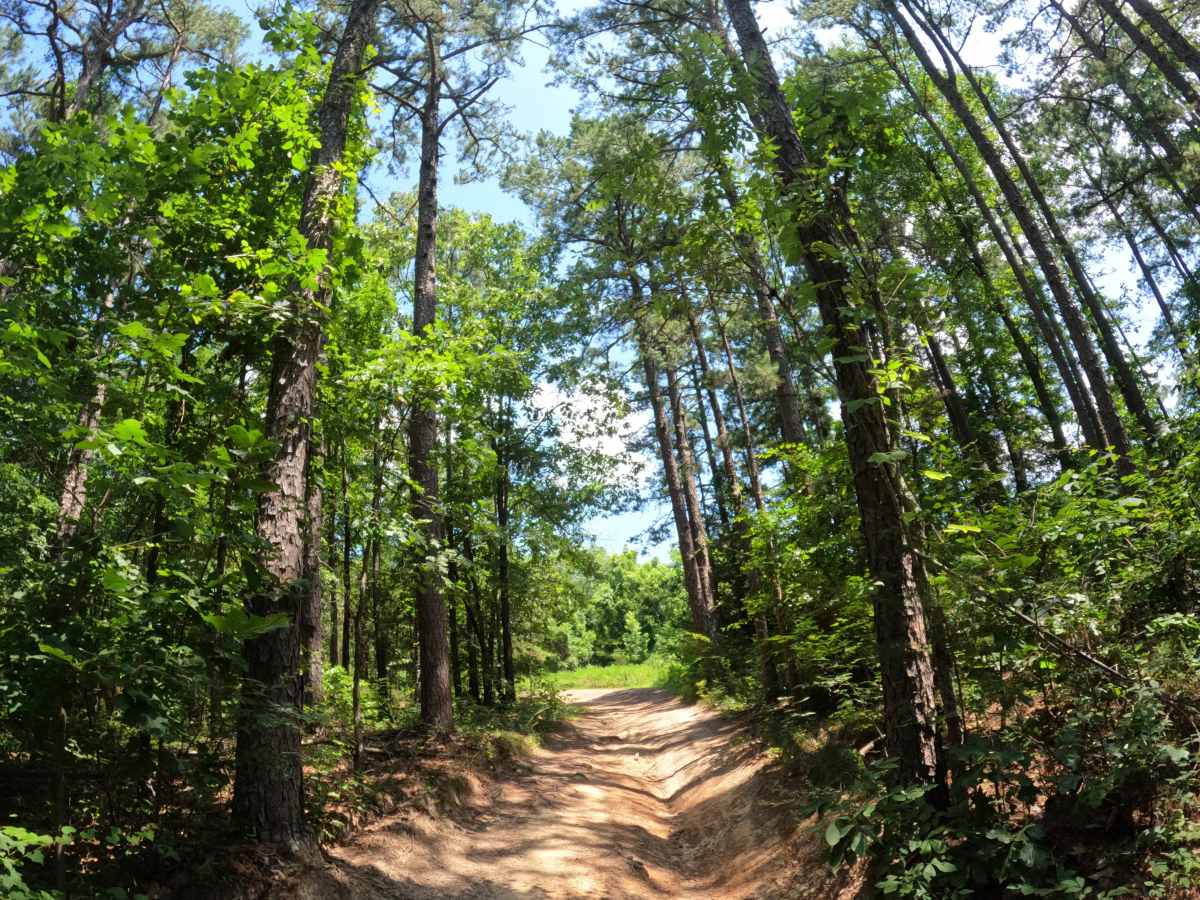 Churchman trail photo