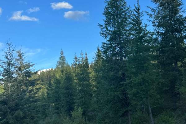 Snyder Ridge - FS 3300-052