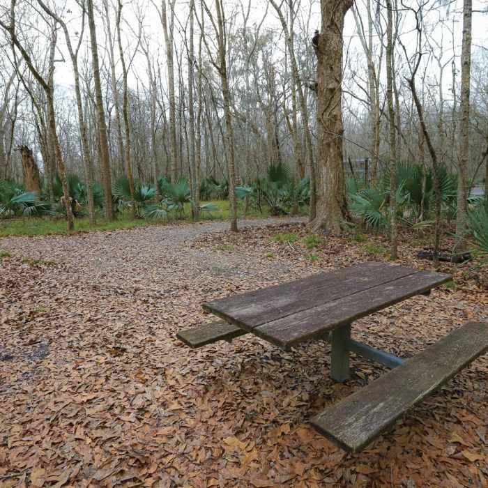 Near Ring Levee Trail