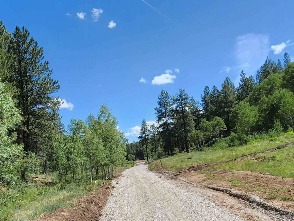 Plateau Road photo 3