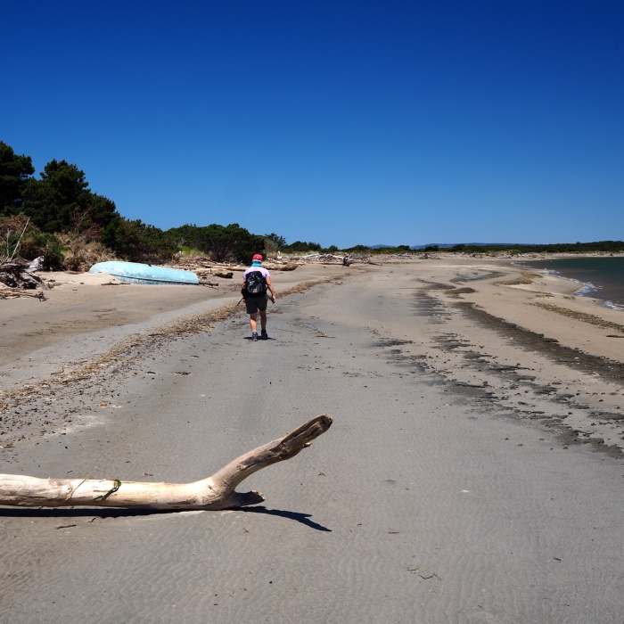 Near Bullards Beach Loop