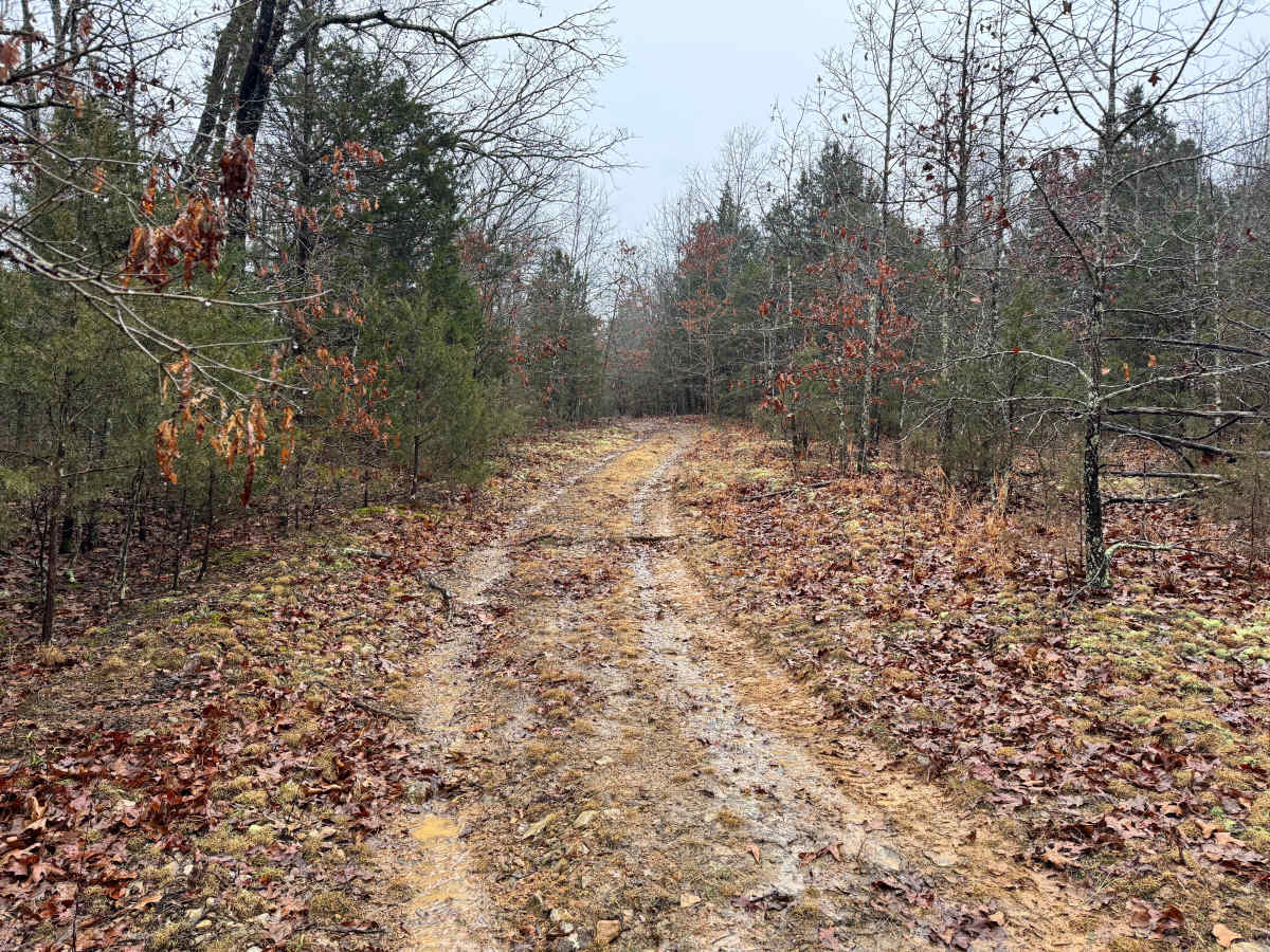 FS 1702 trail photo